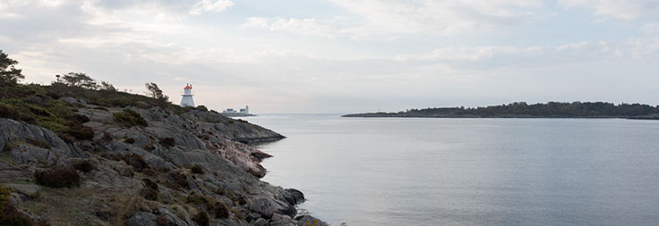 Kalvehageneset narrmarihånd