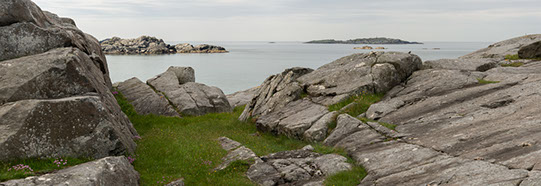 Karmøy purpurmarihånd